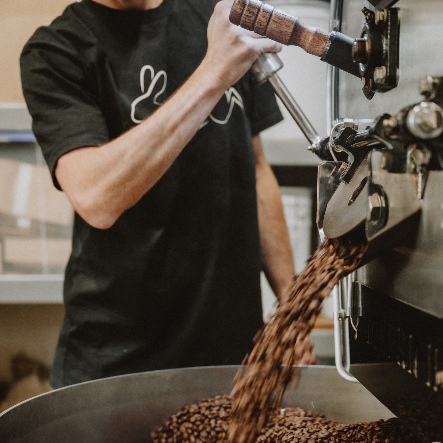 Rabbit Island | Seasonal Blend Whole Beans